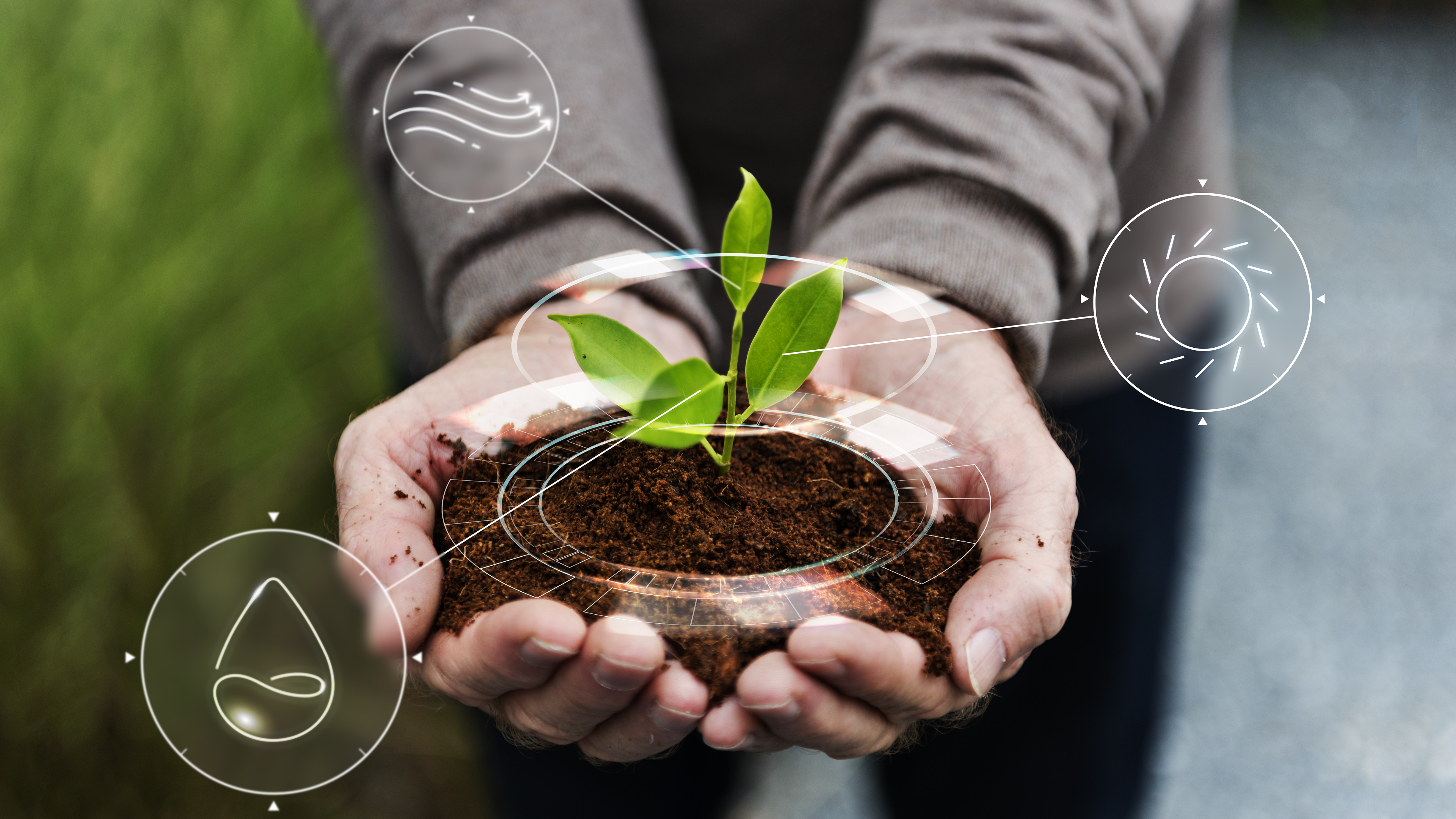 Regenerative agriculture must move from pilot to policy