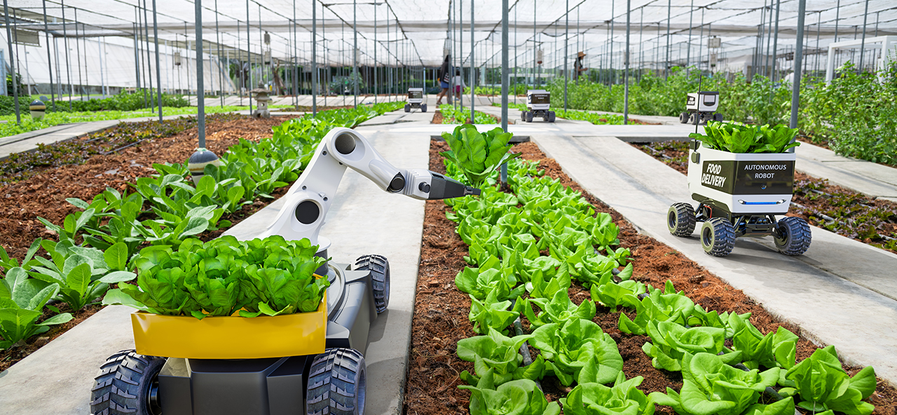 Budget expectations: Increased use of technology, export-promoting measures and reduced crop insurance premiums